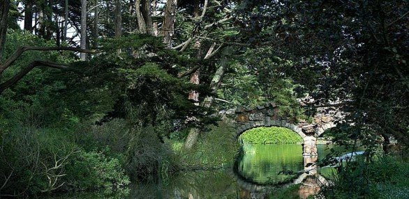 Stowe Lake