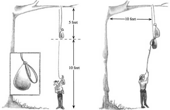 food hanging diagram