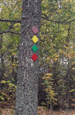 Signs attached to trees